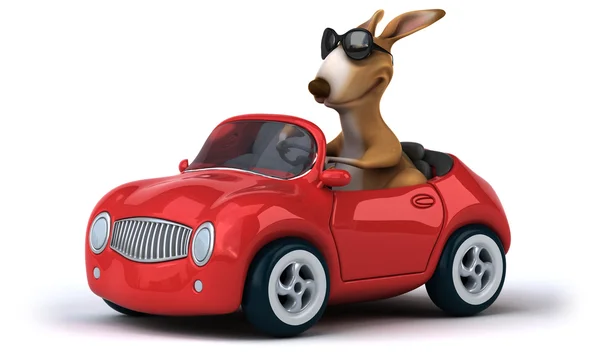 Vicces kenguru autó — Stock Fotó