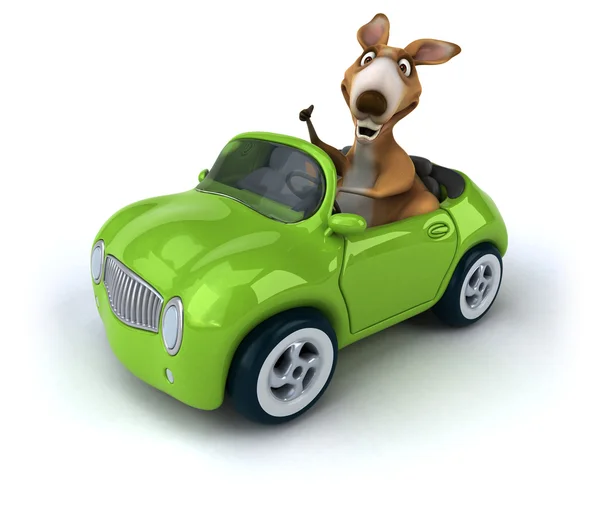 Забавный кенгуру в машине — стоковое фото