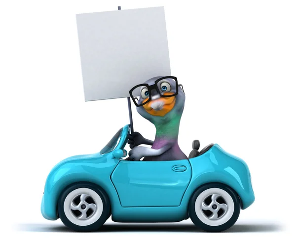 Leuke cartoon duif in auto — Stockfoto