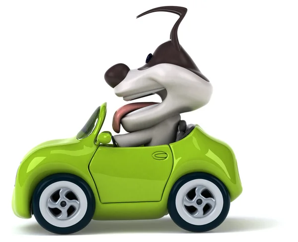 Cão engraçado no carro — Fotografia de Stock