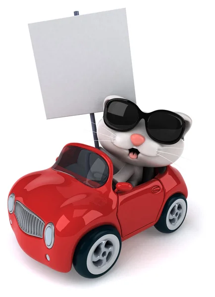 Funny cat in car — Stock Photo, Image