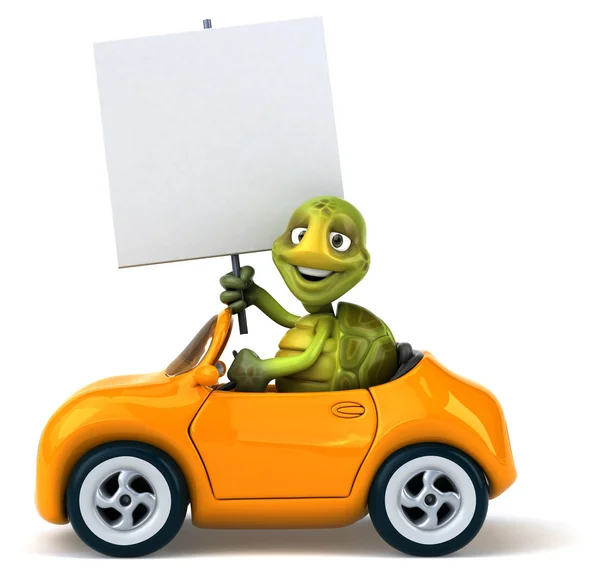 Roliga tecknade sköldpadda i en bil — Stockfoto