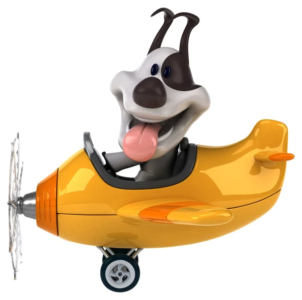 Szórakoztató kutya repülőgép — Stock Fotó