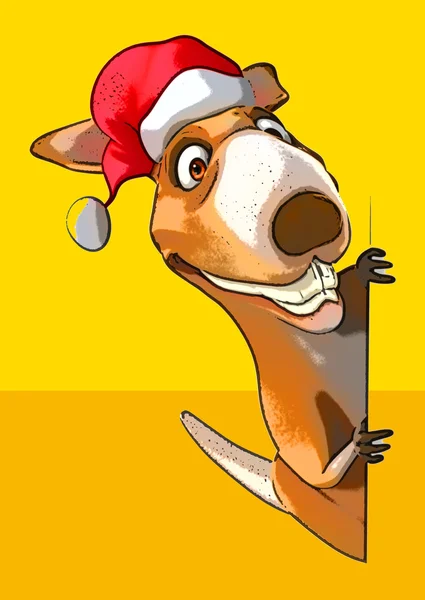 Drôle de dessin animé kangourou — Photo