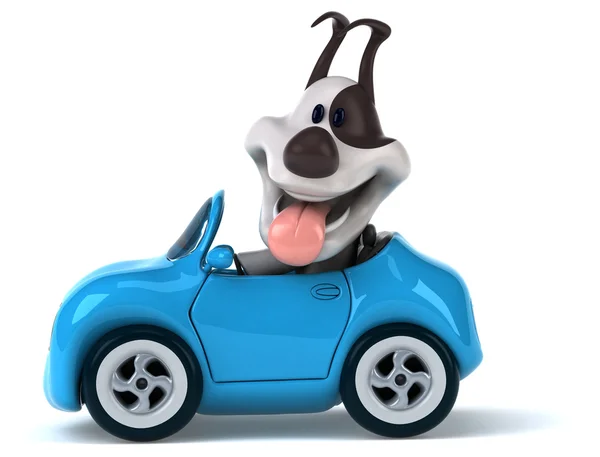 Grappige hond in auto — Stockfoto