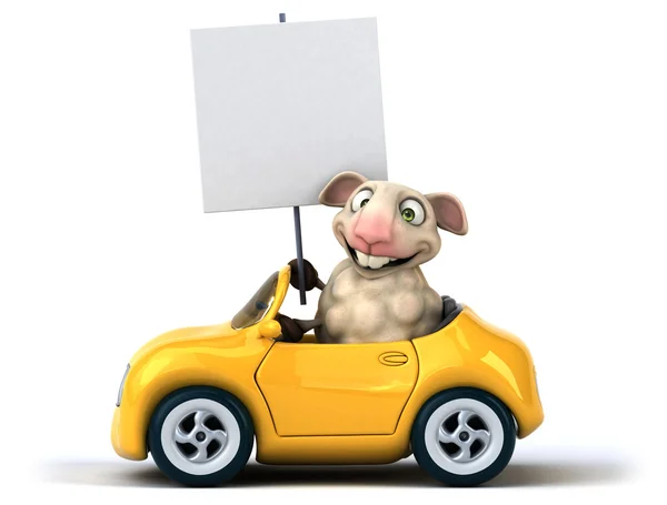 Leuk schapen op auto — Stockfoto