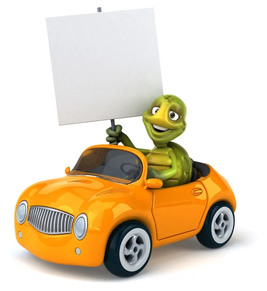 Arabada eğlenceli kaplumbağa — Stok fotoğraf