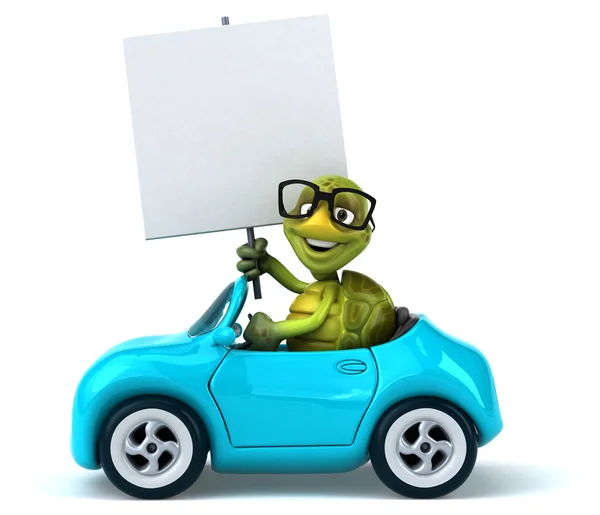 Żółw zabawy w samochodzie — Zdjęcie stockowe