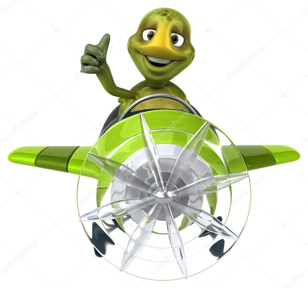 Funny turtle in aeroplane