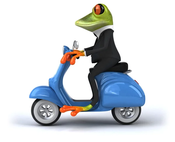 Grenouille amusante sur scooter — Photo