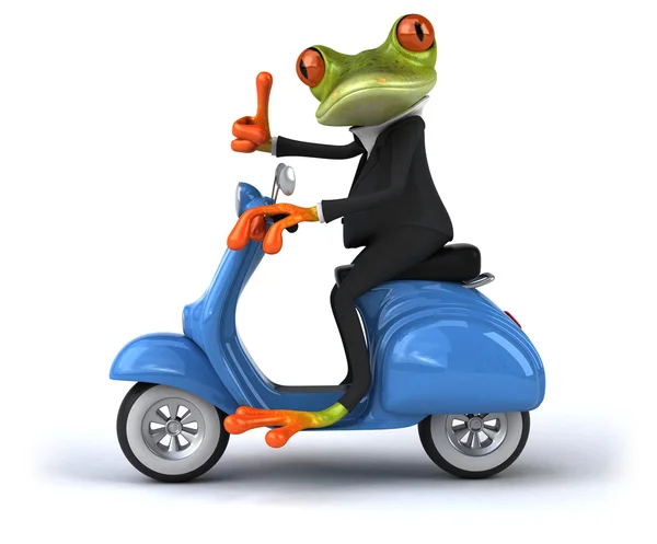 Grenouille amusante sur scooter — Photo