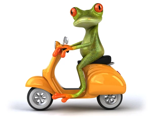 Grenouille amusante sur scooter — Photo