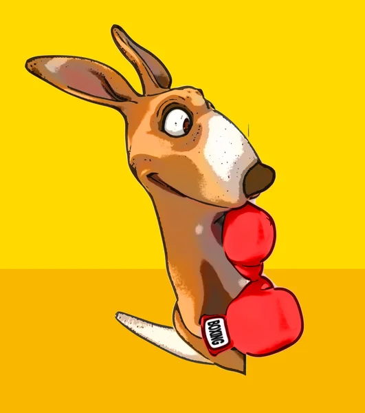 Funny kangaroo in boxing gloves — Stock Photo, Image