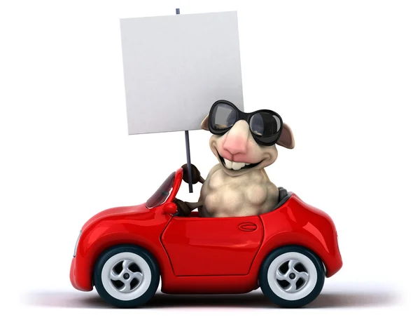 車で楽しい羊 — ストック写真