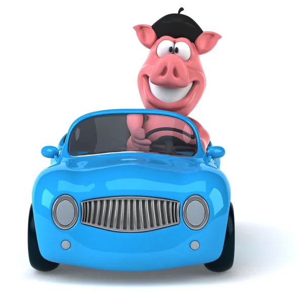 Забавная свинья в машине — стоковое фото