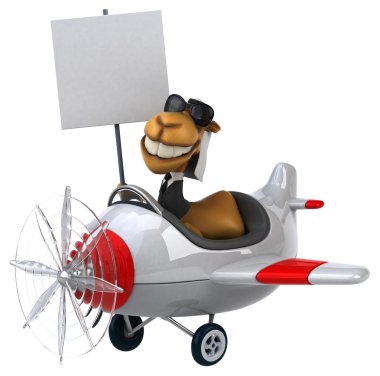 Uçakta eğlenceli deve