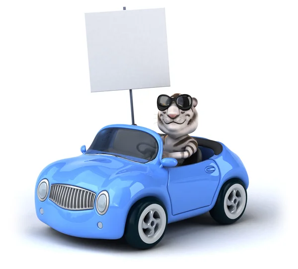 Funny tiger in car — Stock Photo, Image