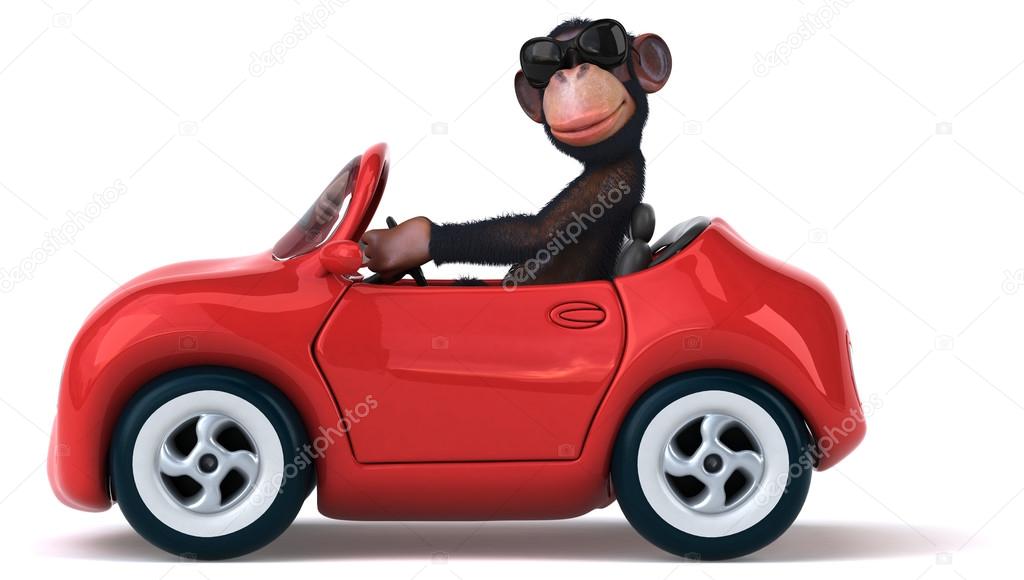 Fun monkey on car