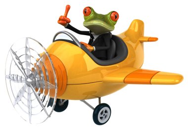Uçaktaki eğlenceli kurbağa