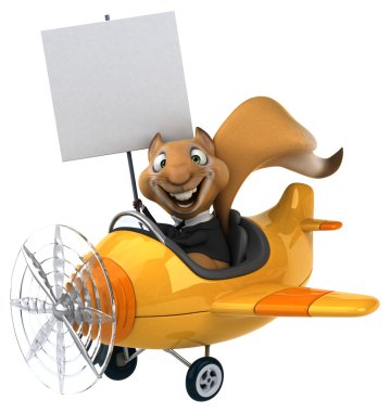 Uçaktaki eğlenceli sincap