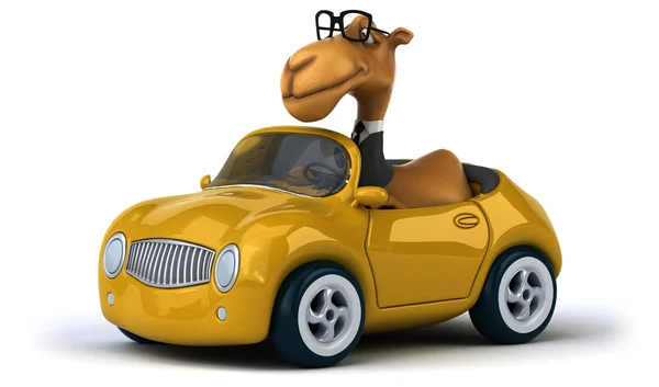 Веселый верблюд в желтой машине — стоковое фото