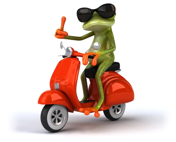 Grenouille amusante sur scooter — Photo