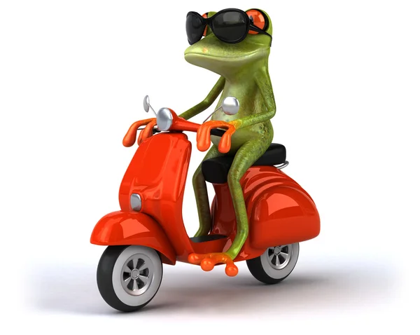 Fun frog on scooter — Stock Photo, Image