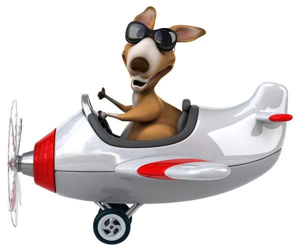 Funny kangaroo in aeroplane — Stock Photo, Image