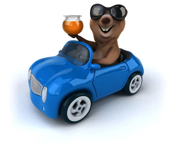 Fun bear in car — Stock Photo, Image