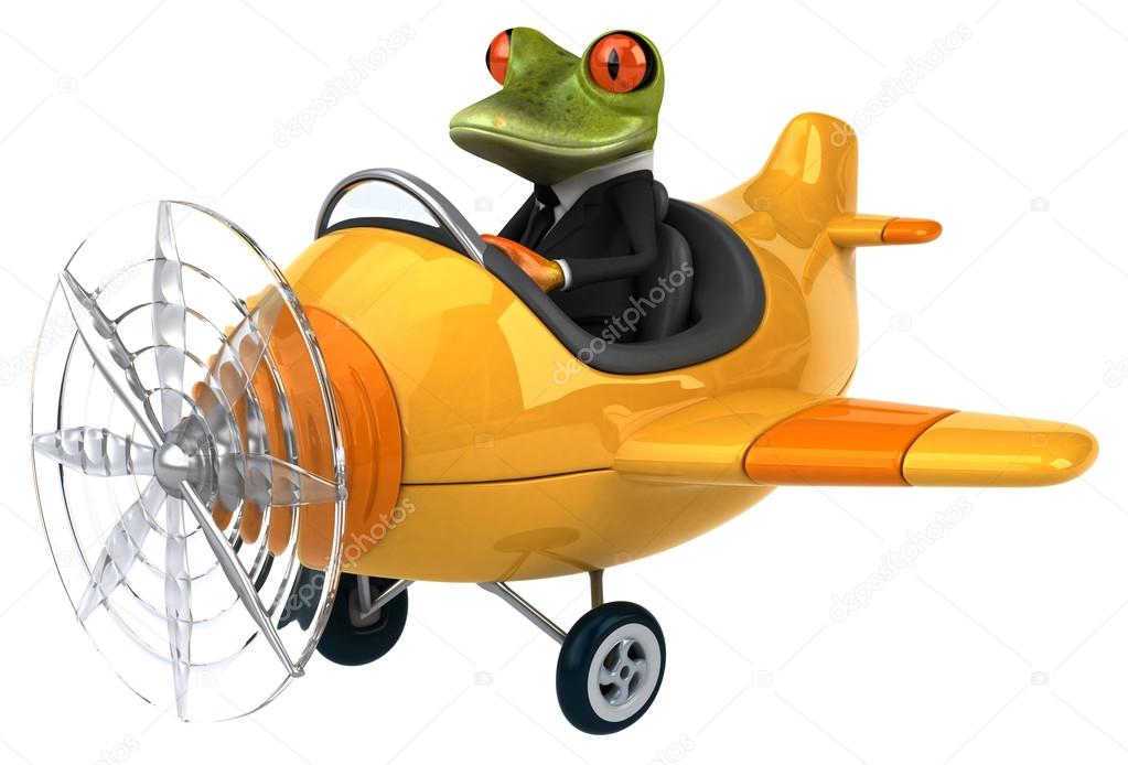 Fun frog in airplane
