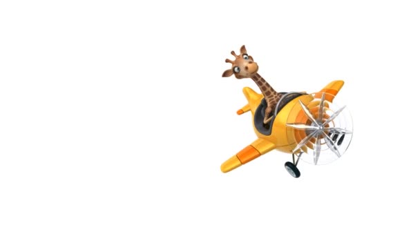 Girafe amusant sur avion — Video