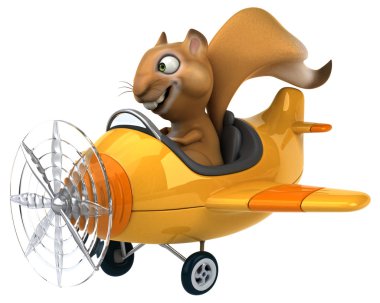 Uçak içinde komik sincap