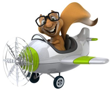 Uçak içinde komik sincap