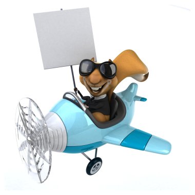 Uçak içinde komik sincap