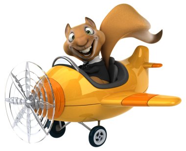 Uçak içinde komik sincap