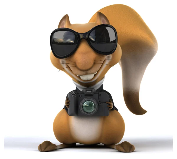 Funny squirrel with camera — Stock Photo, Image