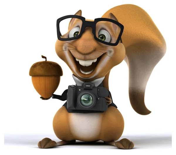 Śmieszne wiewiórki z aparatu — Zdjęcie stockowe