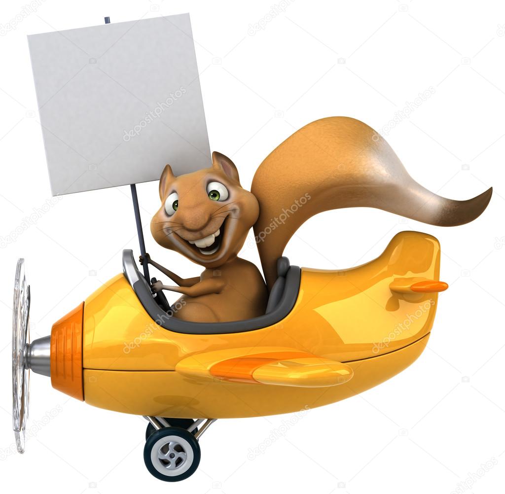 Funny squirrel in aeroplane