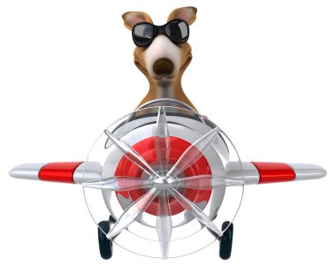 Uçak içinde komik kanguru