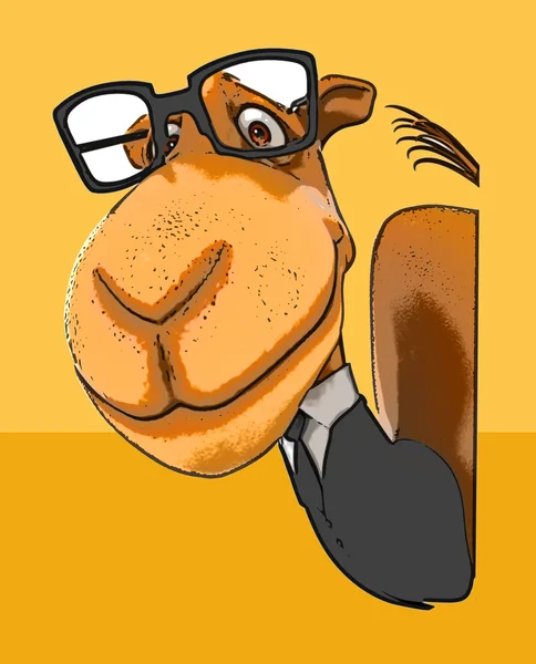 Funny cartoon camel — Stock Photo, Image