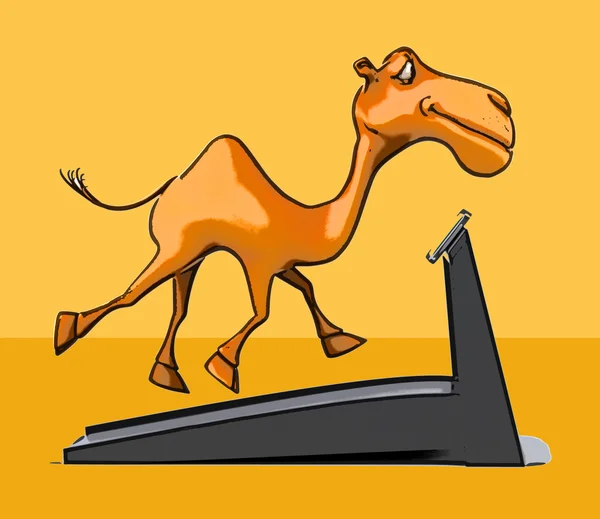 Rolig tecknad kamel — Stockfoto