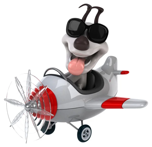 飛行機に面白い犬 — ストック写真