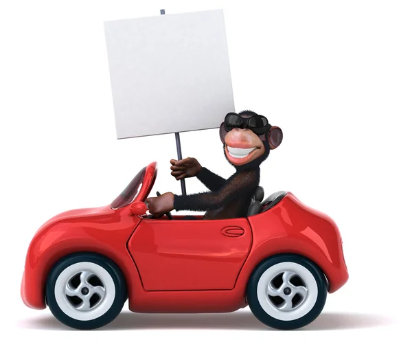 Funny monkey in car — Stock Photo, Image