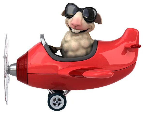Funny sheep in aeroplane — Stock Photo, Image