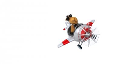 eğlenceli uçakta uçan deve