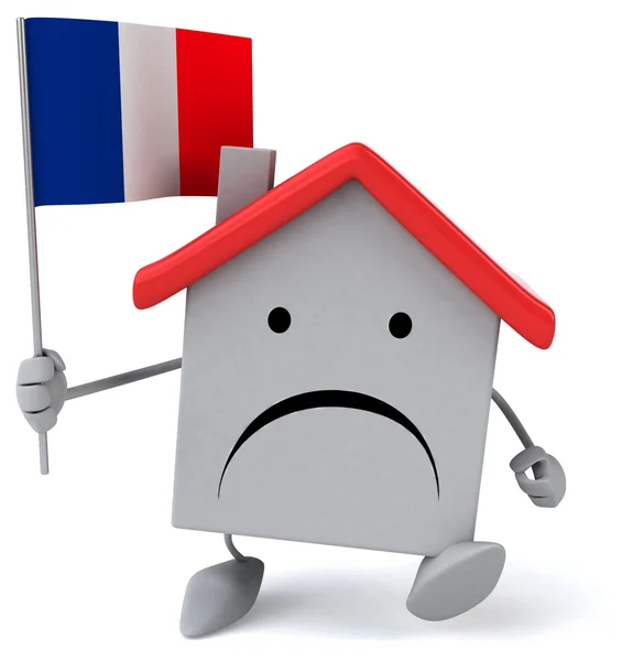 面白い家フランスの旗 — ストック写真