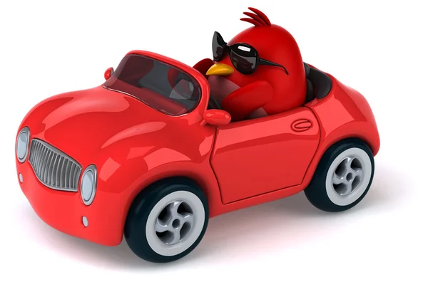Divertido pájaro rojo en coche —  Fotos de Stock