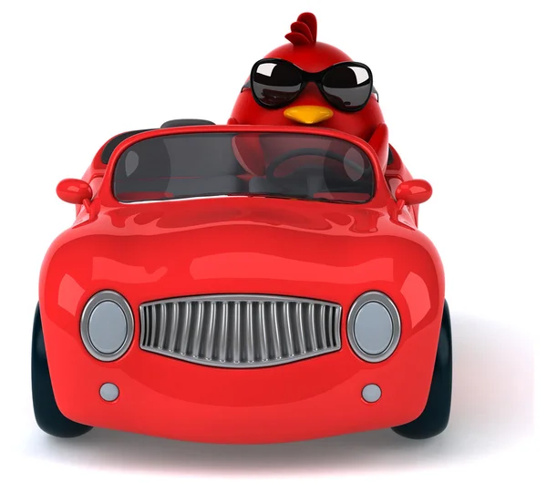 Grappige rode vogel in auto — Stockfoto