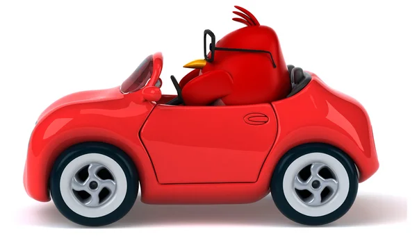 차에 재미 있는 빨간 새 — 스톡 사진