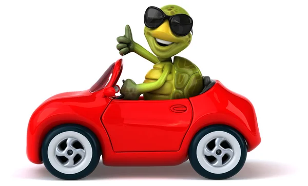 Grappige schildpad in auto — Stockfoto